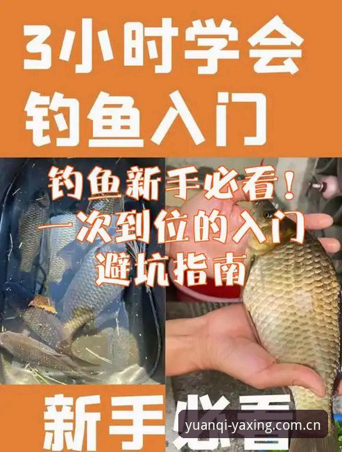 二零二五首季类似亚星CN的直播对比使用指南 避坑入门:二零二五首季类似亚星CN的直播对比使用指南(附实战细节)