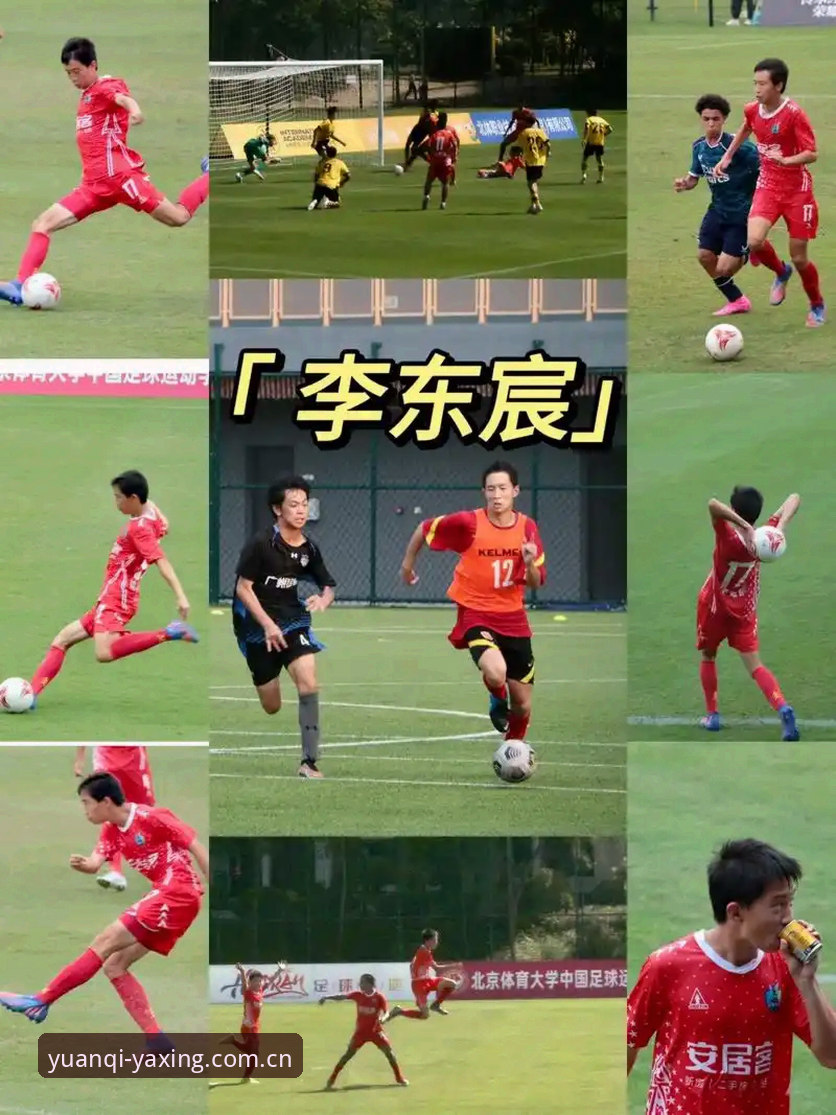 二零二五首季CN投注评测手机版 二零二五首季CN投注评测手机版深度评测:从阿飞的踩坑到我的真香清单